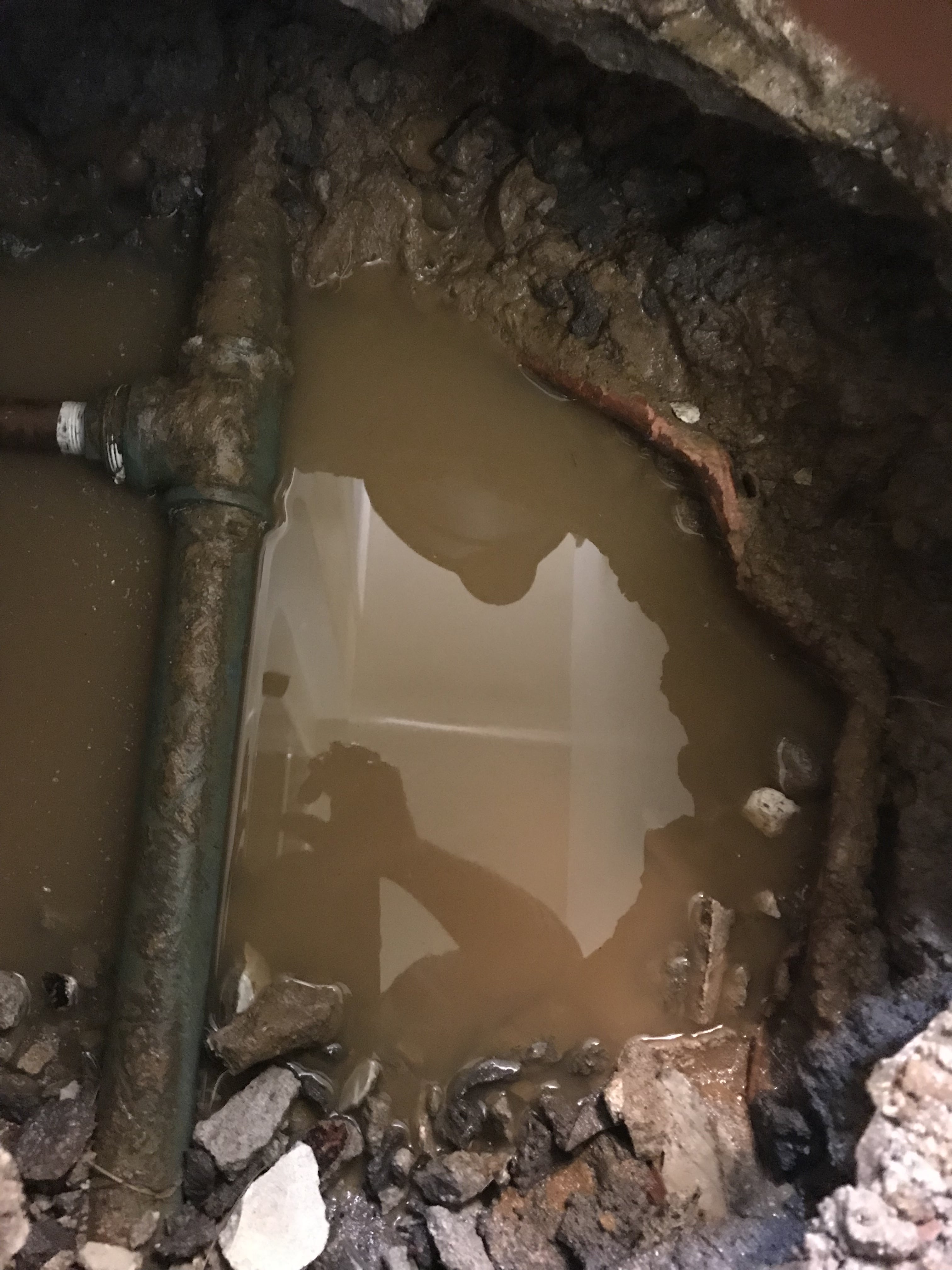 Example Image 1